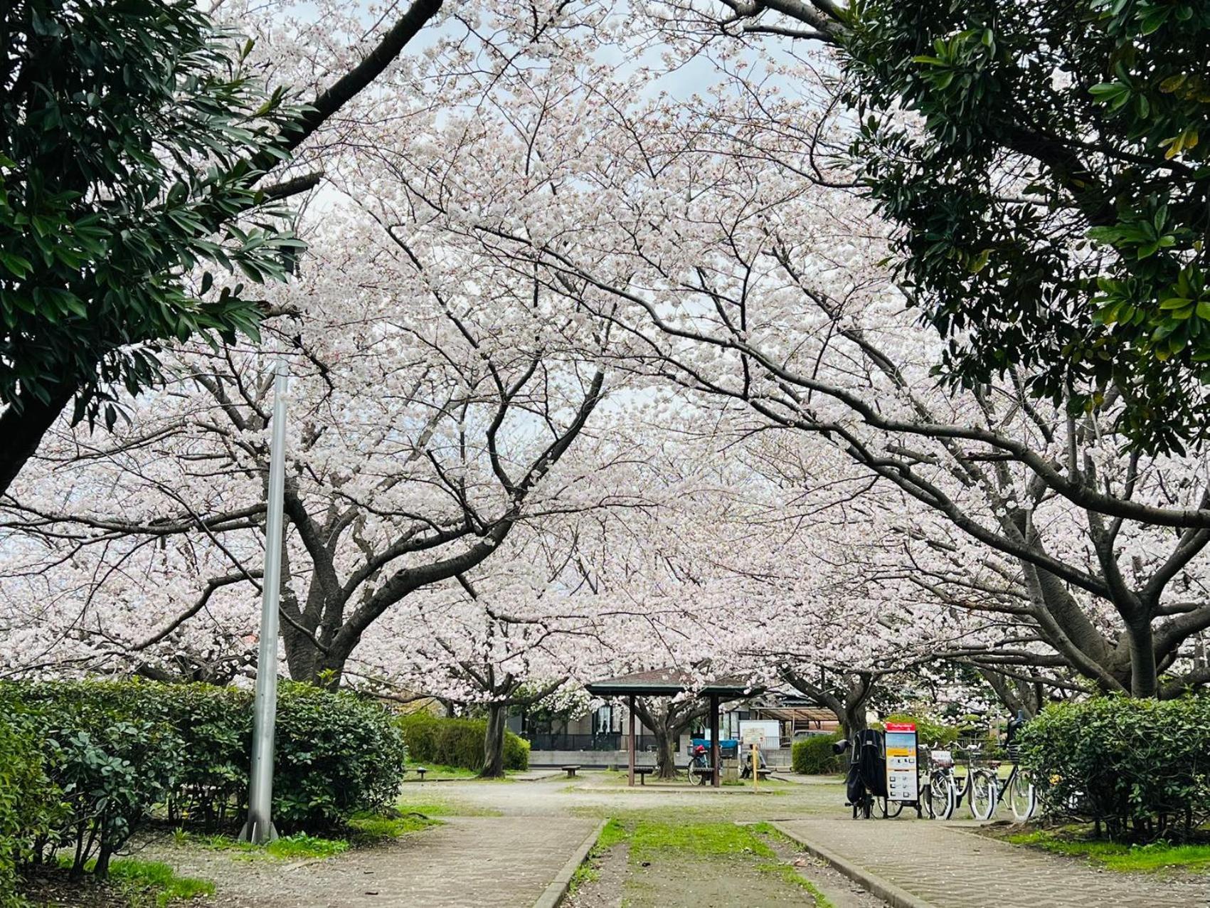 スペース海浜幕張ハウス Apartment Chiba Ngoại thất bức ảnh